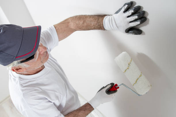 Best Repainting for Renovations  in USA